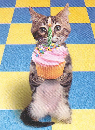 С Днем Рождения!!!! Happy Birthday!!! (Deont Lutz) Cat_20with_20cake_20copy